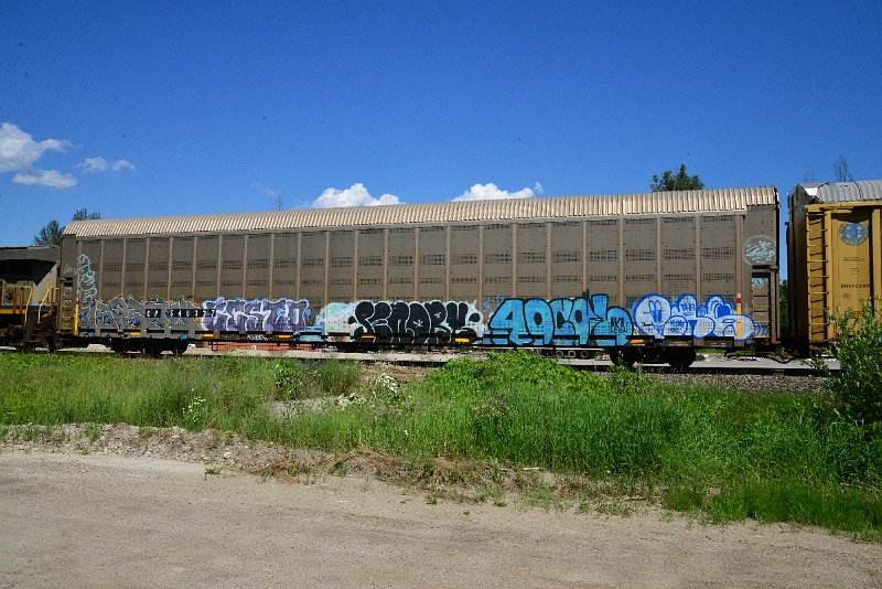 DSC_1444.JPG