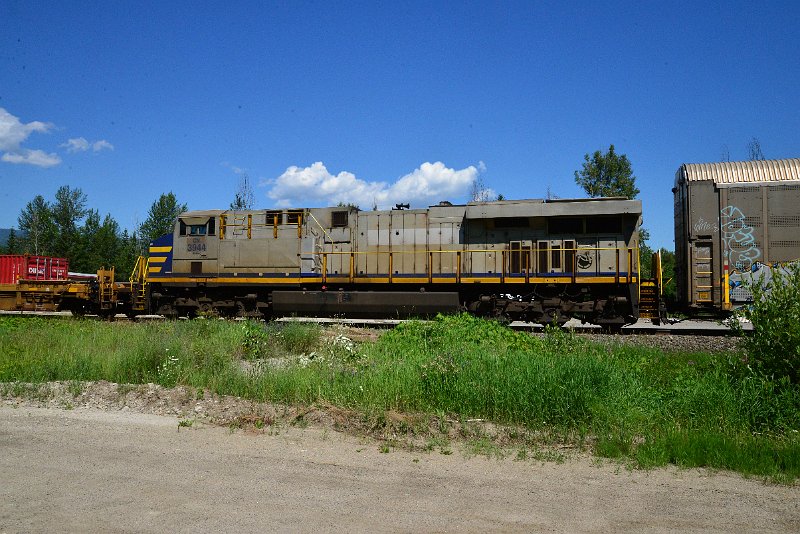 DSC_1445.JPG