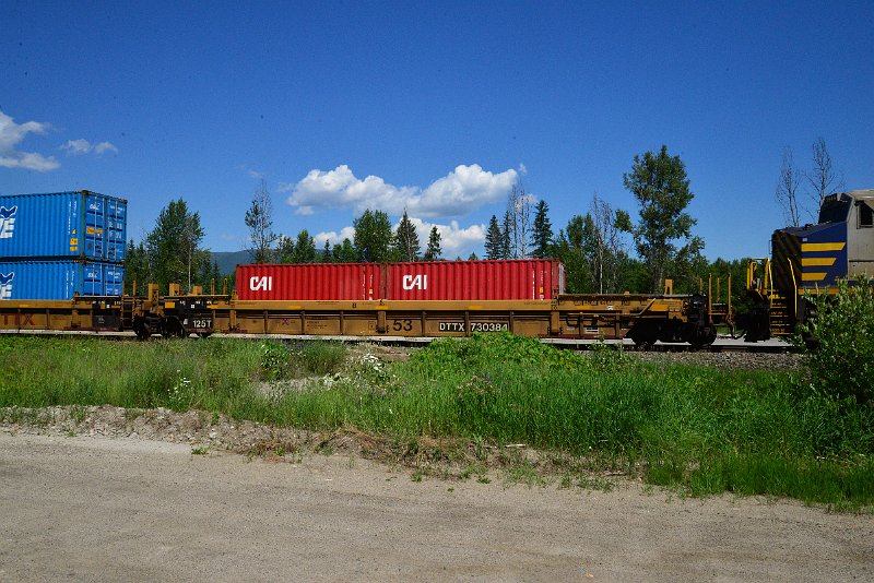 DSC_1446.JPG