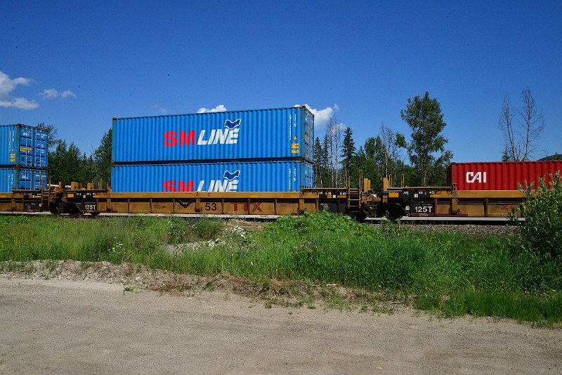 DSC_1447.JPG