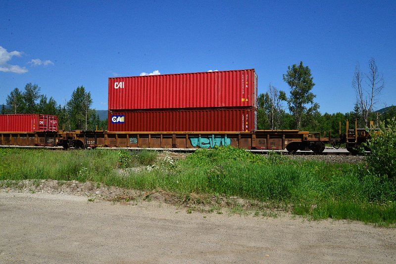 DSC_1449.JPG