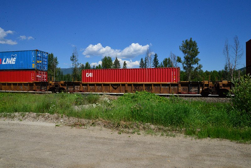 DSC_1450.JPG