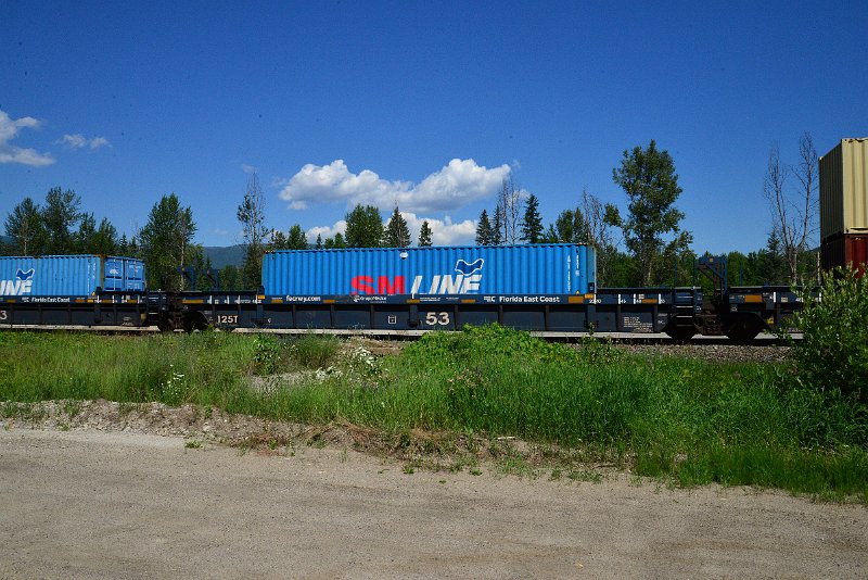 DSC_1453.JPG