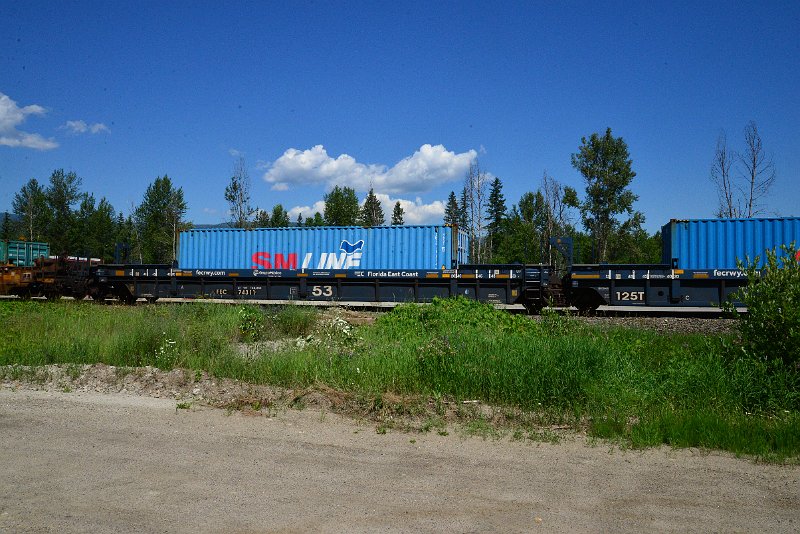 DSC_1454.JPG