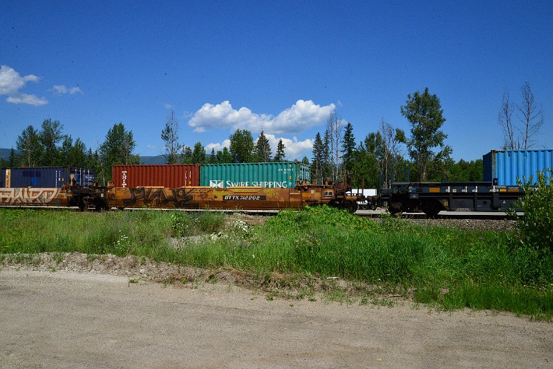 DSC_1455.JPG