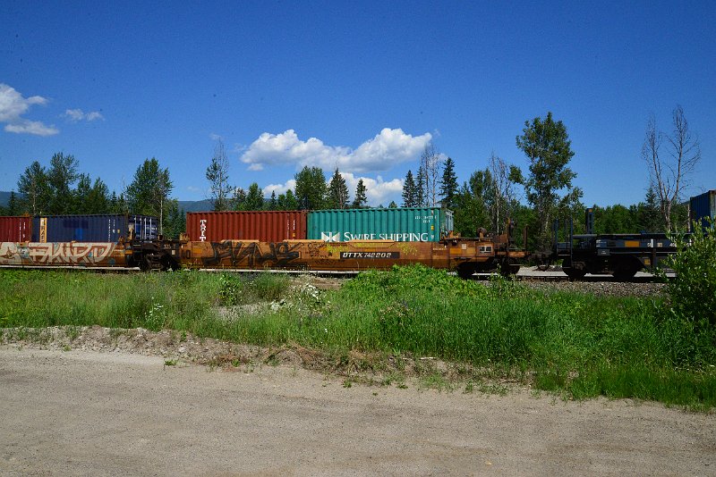 DSC_1456.JPG