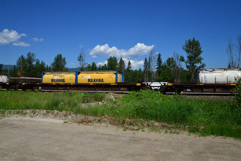 DSC_1462.JPG