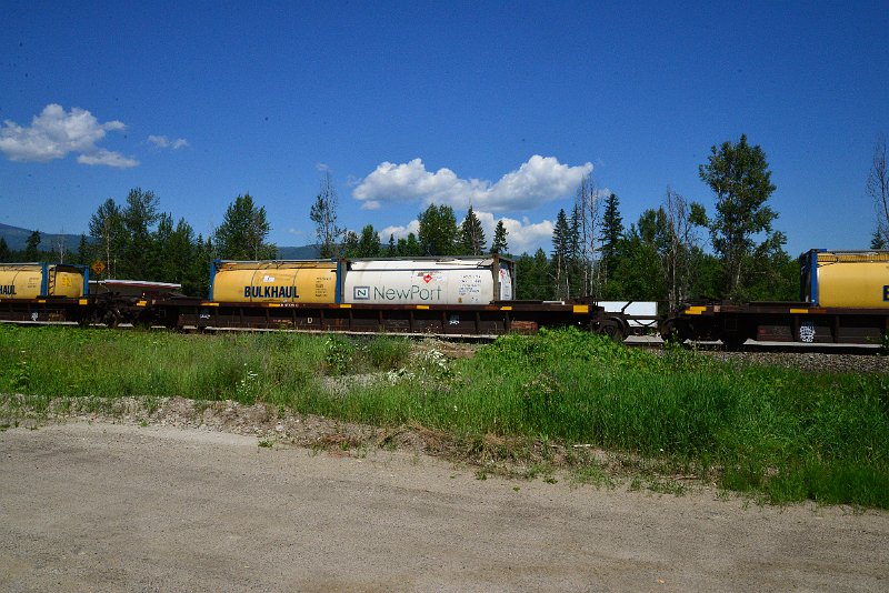 DSC_1463.JPG