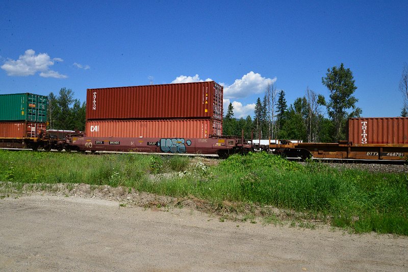 DSC_1480.JPG