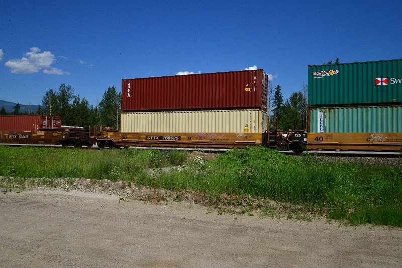 DSC_1504.JPG