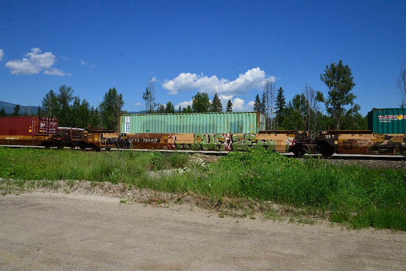 DSC_1507.JPG