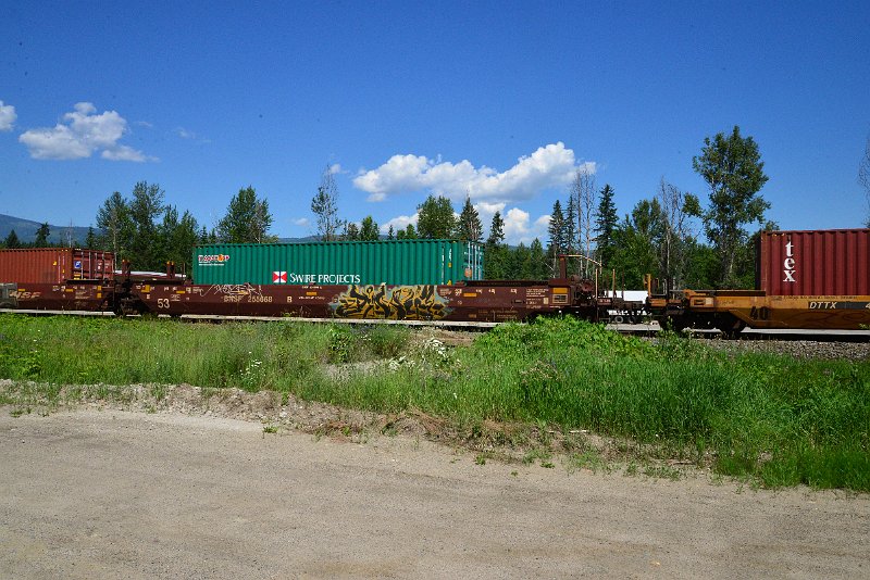DSC_1509.JPG