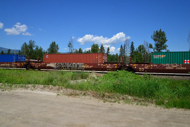 DSC_1510.JPG