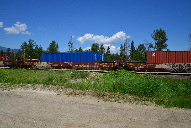 DSC_1511.JPG