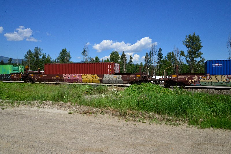 DSC_1512.JPG