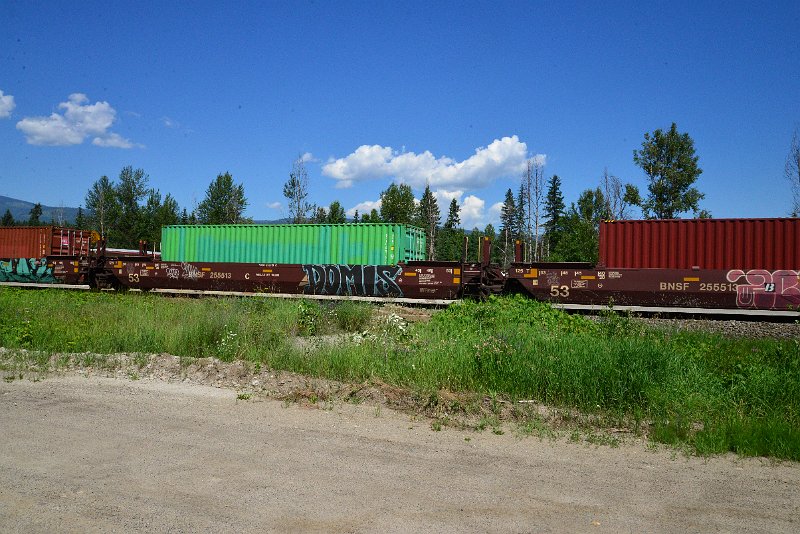 DSC_1513.JPG