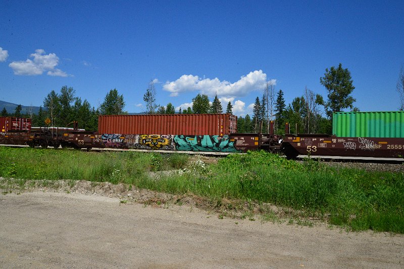 DSC_1514.JPG
