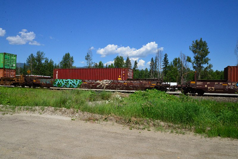 DSC_1515.JPG