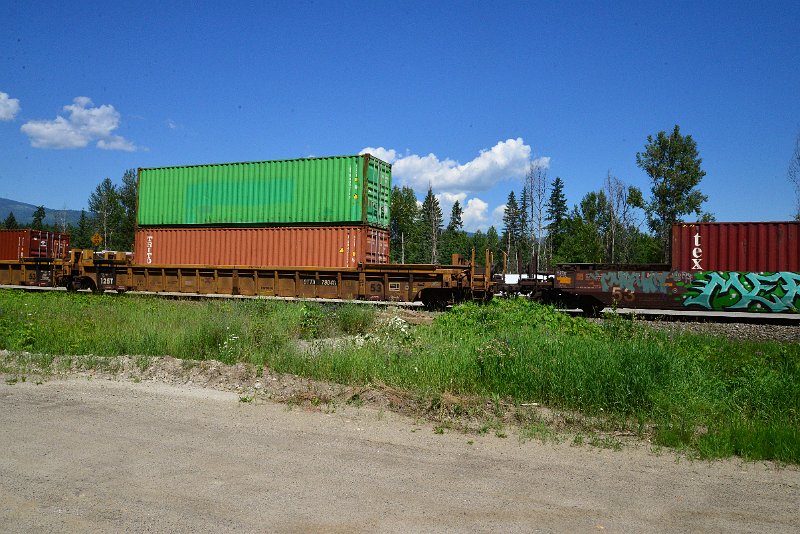 DSC_1516.JPG