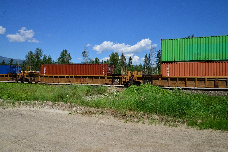 DSC_1517.JPG