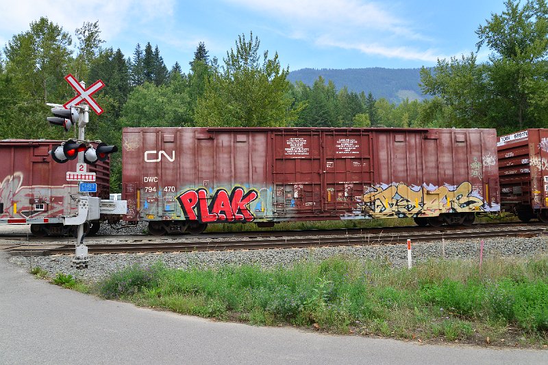 DSC_7247.JPG