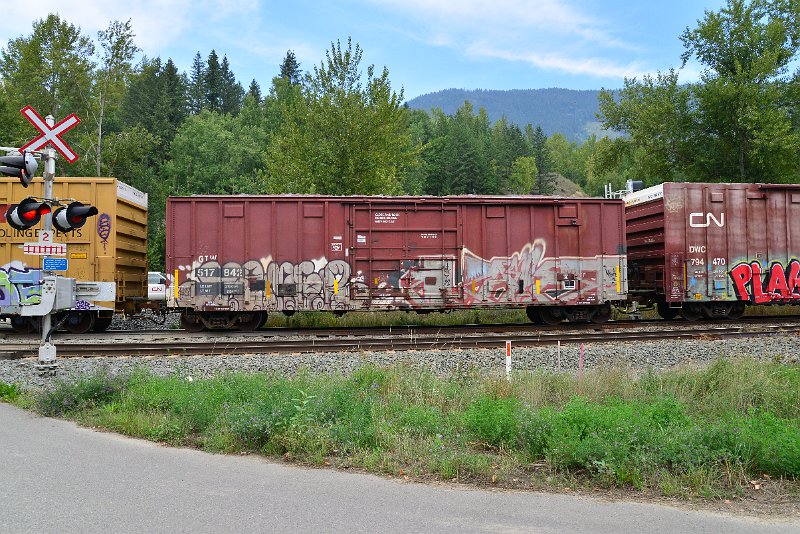 DSC_7248.JPG