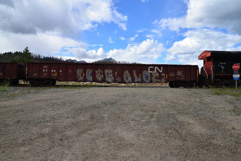 DSC_3516.JPG
