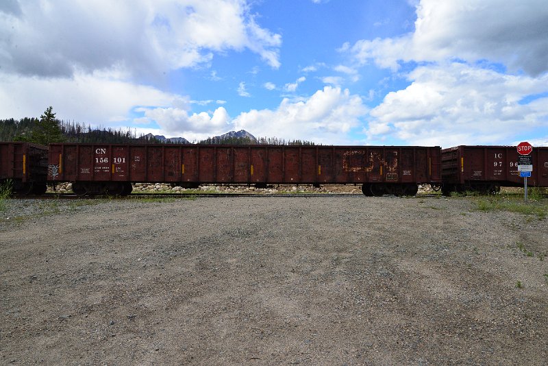 DSC_3517.JPG