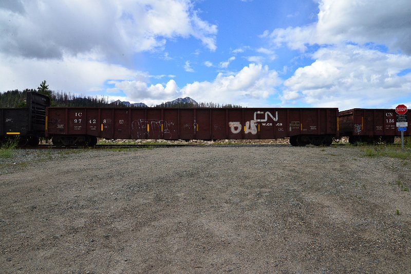 DSC_3518.JPG