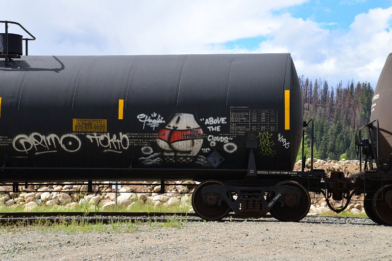 DSC_3554.JPG