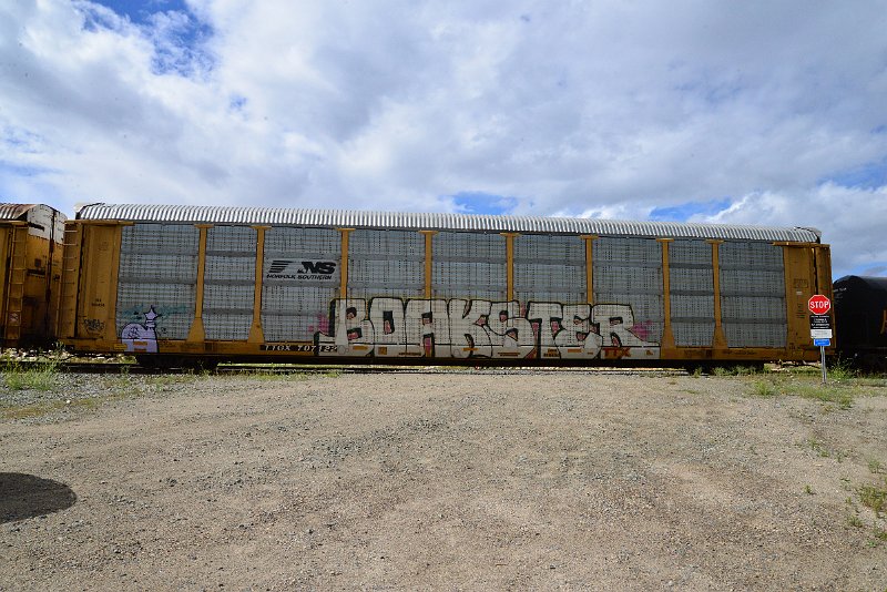 DSC_3557.JPG