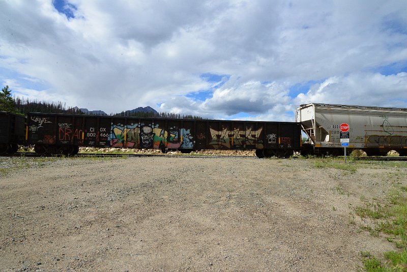 DSC_3593.JPG