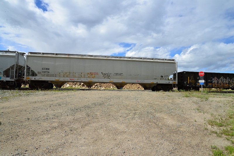 DSC_3596.JPG