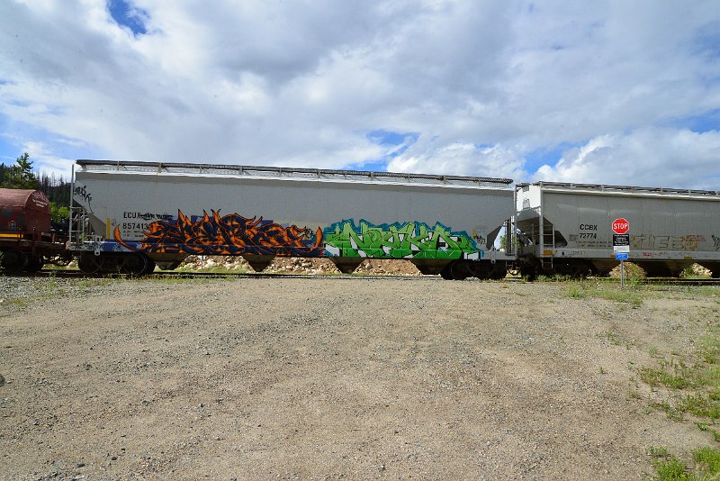 DSC_3597.JPG