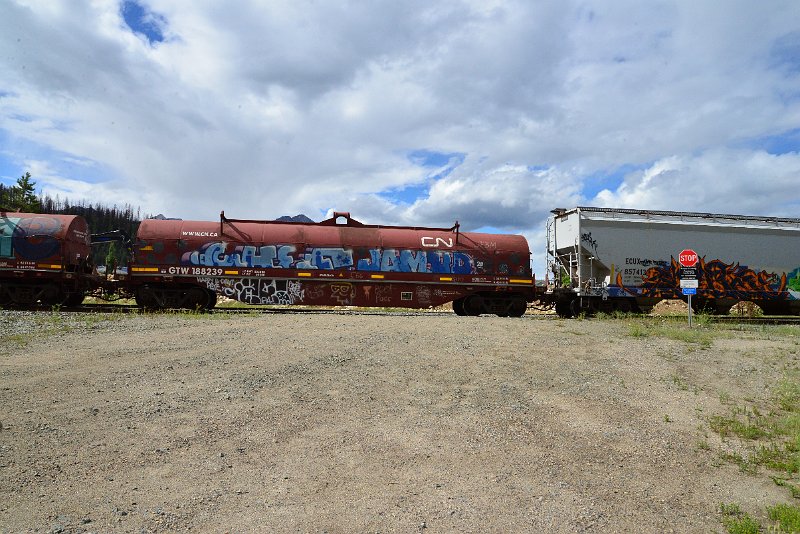 DSC_3598.JPG