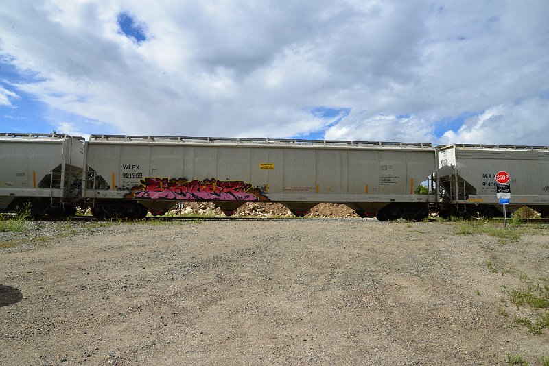 DSC_3603.JPG