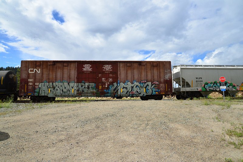 DSC_3606.JPG