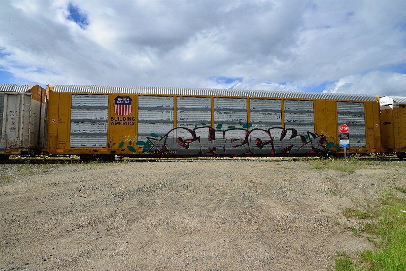 DSC_3612.JPG