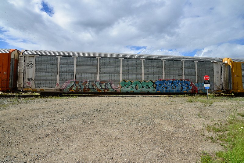 DSC_3613.JPG