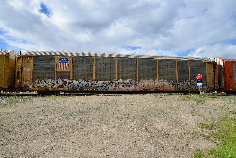 DSC_3615.JPG