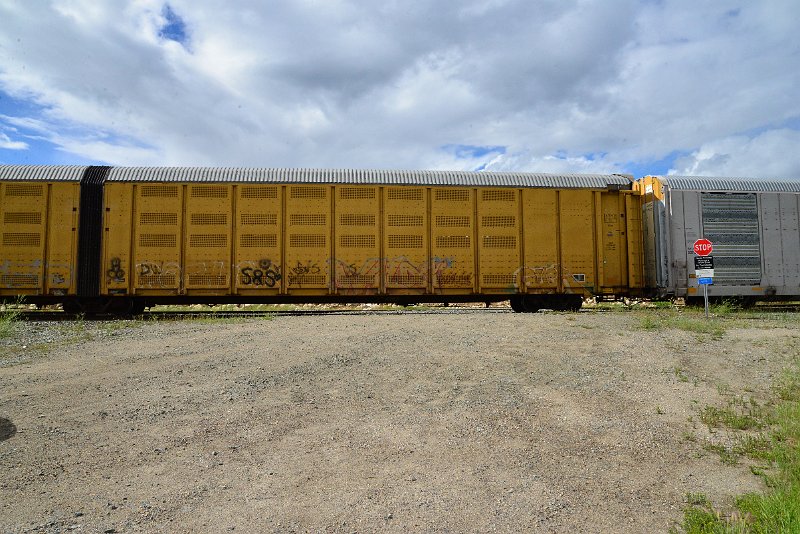 DSC_3619.JPG