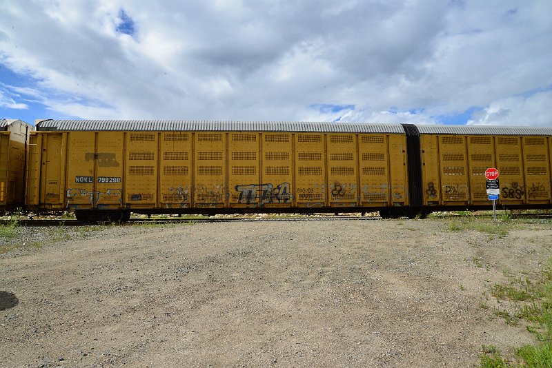 DSC_3620.JPG