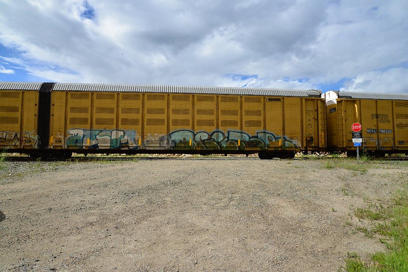 DSC_3621.JPG