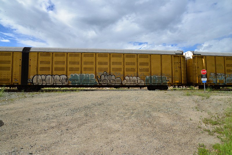DSC_3623.JPG