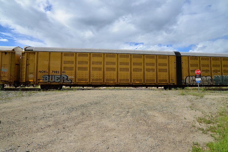 DSC_3624.JPG