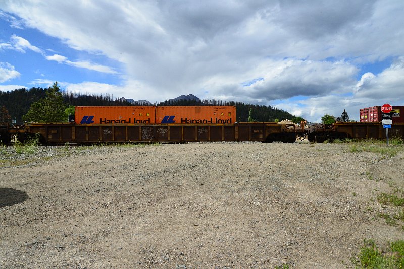 DSC_3649.JPG