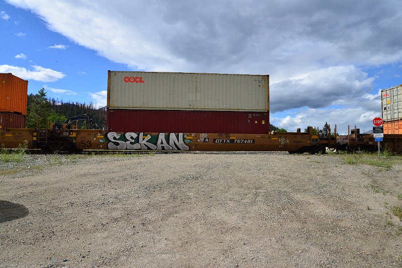 DSC_3663.JPG