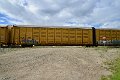 DSC_3624