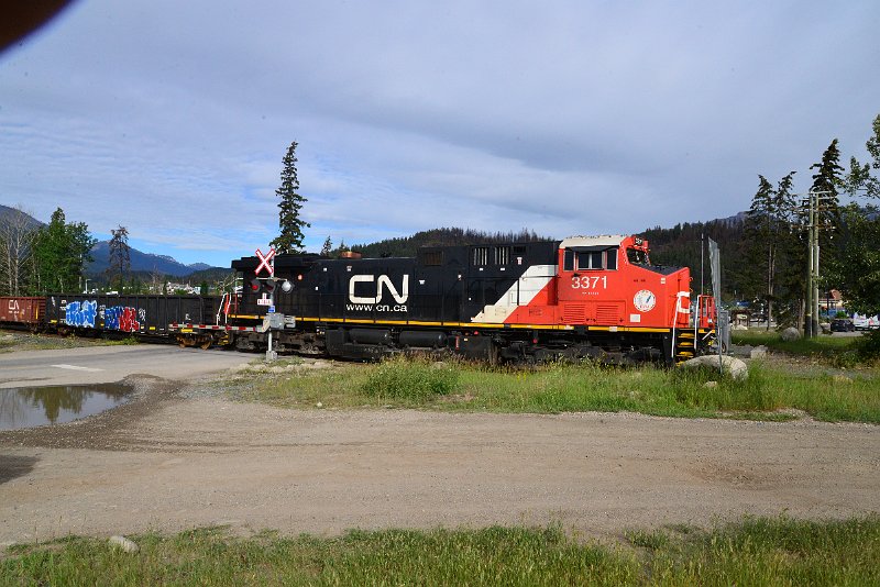 DSC_3694.JPG