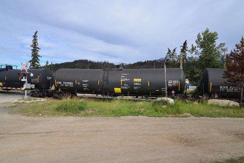 DSC_3699.JPG